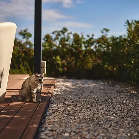 Borgo Della Spiga Country house