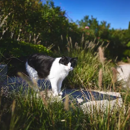 Country house Borgo Della Spiga *