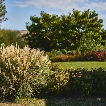 Borgo Della Spiga - Adult Friendly Séjour à la campagne Cervidone
